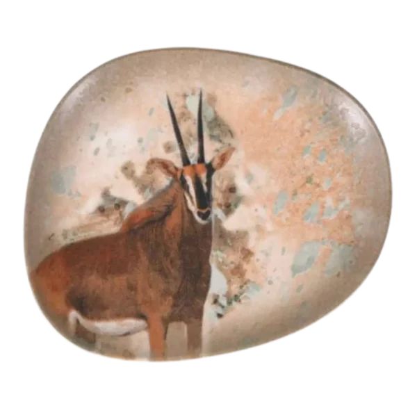 vajilla savanna antilope